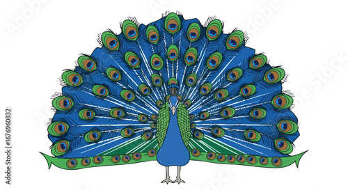 Stylized peacock illustration with vibrant plumage, fanned feathers, and whimsical decorative elements showcasing a touch of artistic flair