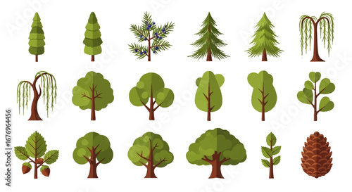 Flat design tree illustrations set: diverse green deciduous, coniferous, juniper, willow, and a brown pinecone