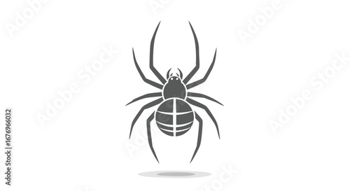 Detailed spider arachnid vector illustration on clean white background, graphic design element of scary insect for halloween themes  and wildlife