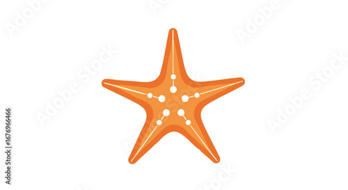 Stylized orange starfish with white details on a clean white background illustration