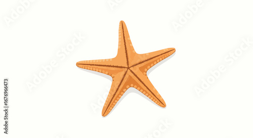 Isolated orange starfish illustration against a stark white backdrop evoking oceanic vibes, creating an aesthetic marine scene perfect for design