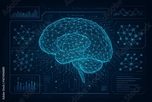 Digital Brain Network Representation of Neural Connections and Data Analysis Interface