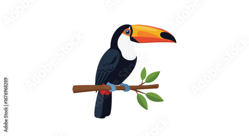 Colorful cartoon illustration of a toucan perched on a branch with leaves on a white background, evoking a sense of tropical wildlife, nature, and