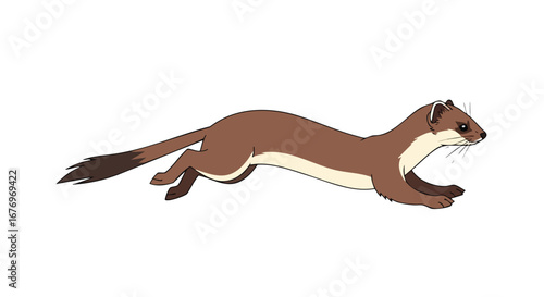 Energetic Ermine in Swift Motion: A Cartoon Illustration of Speed and Agility in Nature running, showing an impressive display of animal flexibility