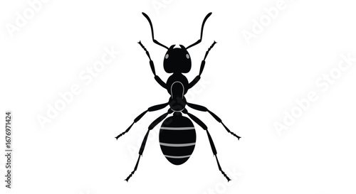 Minimalist ant illustration conveying simplicity and precision in insect depiction forming a clear vector art representation against plain background