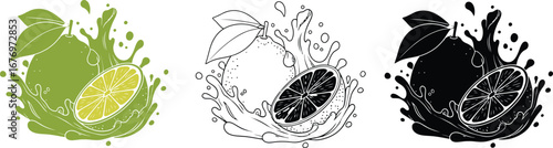 Fresh lime fruit splash vector illustration design set