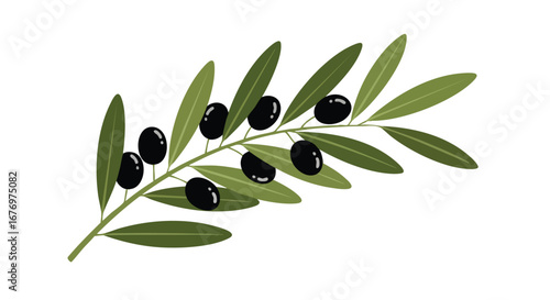 Stylized olive branch illustration displaying black olives and verdant leaves in high resolution isolated on a white background