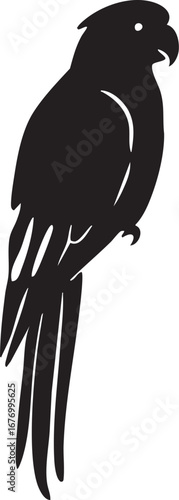 Parrot perched upright black silhouette illustration with curved beak and long tail feathers for tropical bird and nature design
