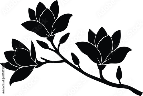  magnolia branch silhouette with blossoms silhouette vector illustration