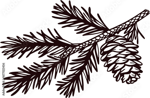 hand drawn evergreen pine branch with cone isolated on white background line art illustration