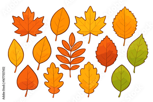 Autumn leaves set isolated on white. Fall foliage vector collection. Cartoon illustration of various tree leaves like maple, oak, birch for seasonal design elements.