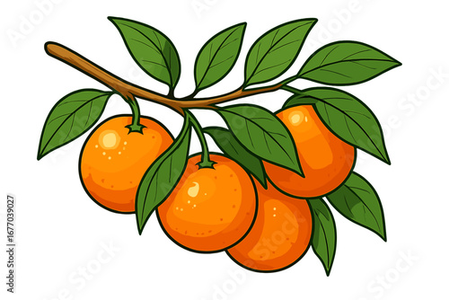 Vector cartoon illustration of a branch with fresh ripe oranges. Juicy citrus fruit with green leaves. Healthy organic food concept for graphic design, isolated on white.