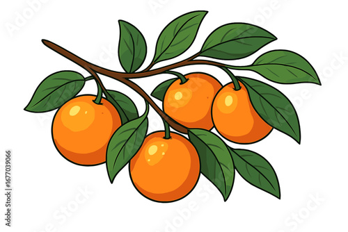 Orange fruit branch with leaves vector illustration. Fresh citrus on a tree. Healthy food concept. Natural organic vitamin C. Cartoon design element for juice packaging.