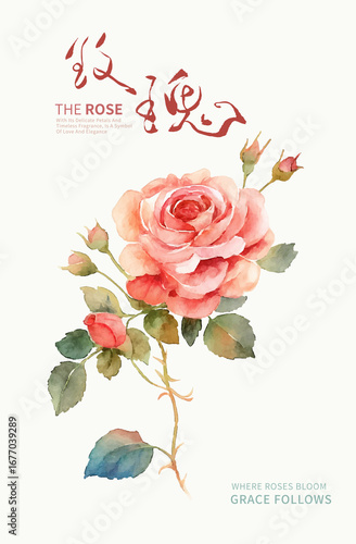  A Single Rose Stem with Chinese Calligraphy