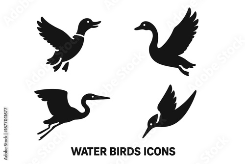 Water birds solid icon set. Glyph vector illustration of aquatic birds in flight. Duck ascent, swan lift, heron glide, kingfisher dive. Egret silhouette animal symbol.
