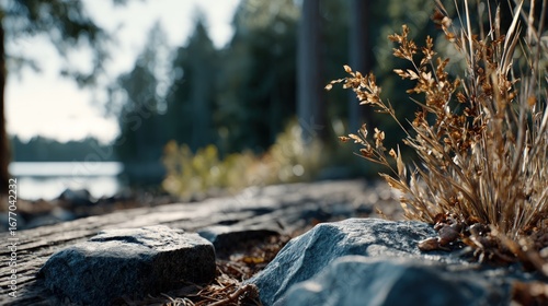 Close-up view of dried grasses resting on a weathered stone by a tranquil lake, bathed in the soft light of a serene afternoon.