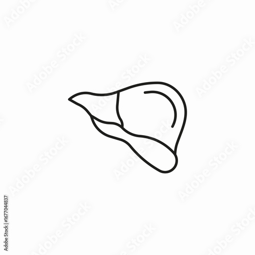 human liver outline icon sign vector