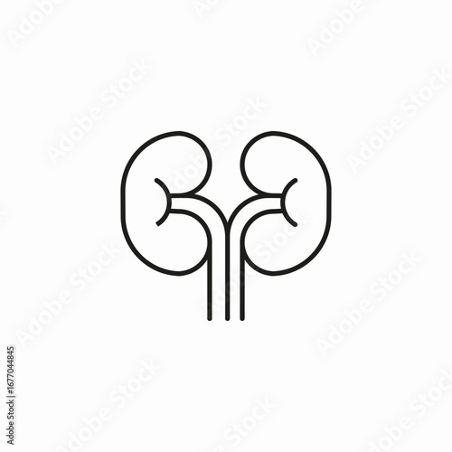 human kidneys organ icon sign vector