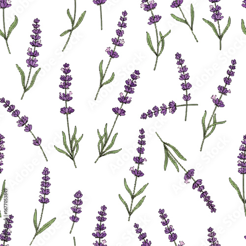 Elegant lavender flower seamless pattern, botanical vector illustration for wellness and aromatherapy concepts