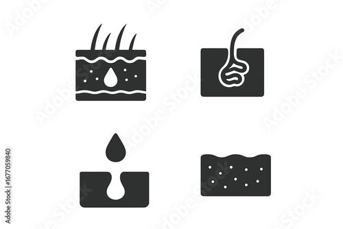Skin layer and glands glyph icon set. Dermatology, cosmetology concept. Sweat, sebaceous gland, pore, hair follicle, epidermis, dermis. Vector solid silhouette illustrations.