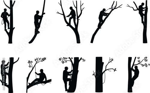 Arborist climbing trees, pruning branches, using saws, rope work, professional tree care, arborist’s craft, nature maintenance, environmental service