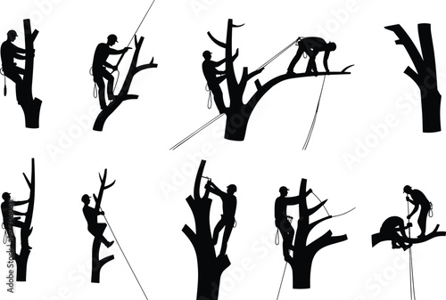 Arborist climbing trees, pruning branches, using saws, rope work, professional tree care, arborist’s craft, nature maintenance, environmental service