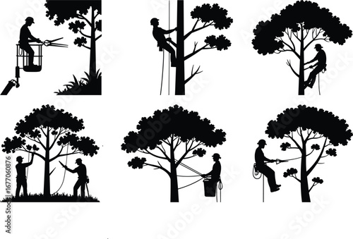 Arborist silhouettes, tree trimming services, professional tree care, black and white illustration, climbing arborists, pruning trees, rope access, outdoor maintenance