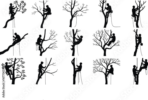 Silhouette Vector Set of Arborists Tree Climbing with Safety Gear, Working on Trees, Tree Cutting and Pruning, Professional Arboriculture