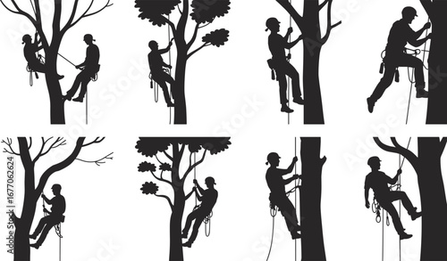 Tree climber safety techniques, arborist rope climbing, tree maintenance illustration, arboriculture gear, worker with harness, forest safety, technical training