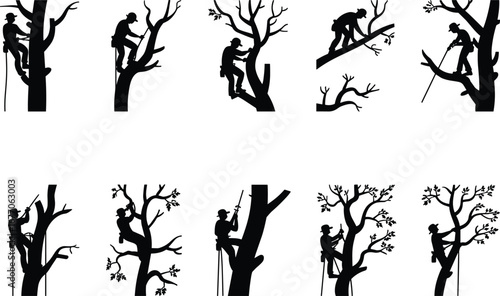Tree climber silhouette vector, arborist working with ropes, professional tree care, pruning, climbing gear, forest maintenance, isolated design illustration