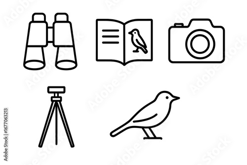 Wildlife observation and birdwatching hobby line icon collection. Vector graphic set with binoculars, camera, tripod, bird guide book and animal silhouette for nature lovers.