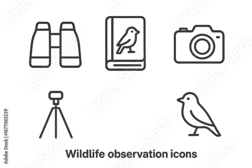 Wildlife observation icon set for birdwatching hobby. Vector line art of binoculars, field guide, camera, tripod, and bird. Nature exploration and eco tourism concept illustration.