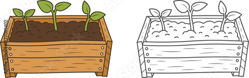 Wooden planter box with young green seedlings and a black and white outline version vector illustration