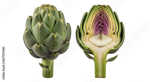 Bild auf Leinwand Isolated Artichoke