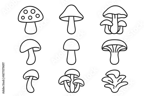Mushroom line icon set. Fungi outline symbol collection. Simple fungus pictogram bundle for web design, apps, logo. Edible, toadstool, champignon vector graphic illustration.