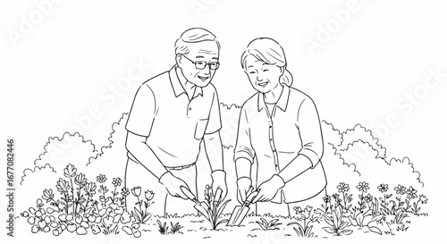 Senior couple gardening together in springtime, line art illustration on white. Senior couple gardening shows retirement activities as pair works tending to plants and flowers,