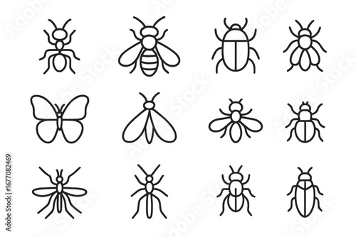 Insect line icon collection. Bug outline icons set. Ant, bee, butterfly, beetle, fly, moth, mosquito simple linear pictogram. Minimalist vector illustration. Editable stroke.
