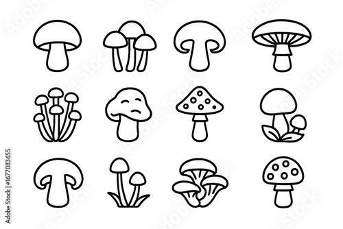 Mushroom line icon set. Fungi outline symbols for web design, apps, and logos. Vector collection of champignon, amanita, toadstool pictograms. Minimalist food illustration.