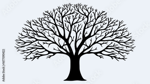 Illustration of a bare tree with intricate branch patterns against a light background in black and white style