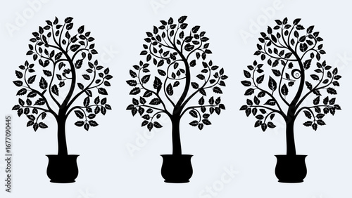 Three black silhouette trees in pots with dense foliage and intricate branch patterns on a light background
