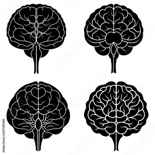 Four black and white brain illustrations showcasing different anatomical perspectives and details of the organ