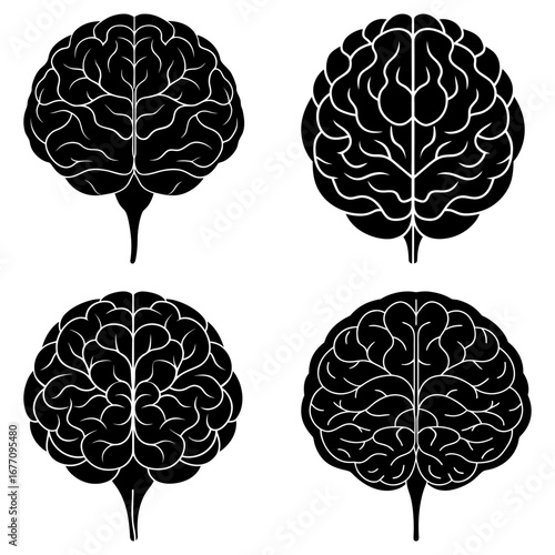 Four stylized brain illustrations in black and white showcasing cerebral anatomy and neurological structure