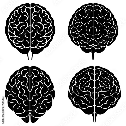 Four brain illustrations in black and white showing the organ from a top and frontal view on white background