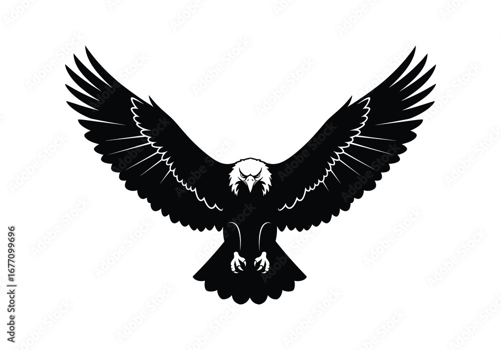 Obraz premium Majestic soaring eagle silhouette spreading wings open for flight majestic bird