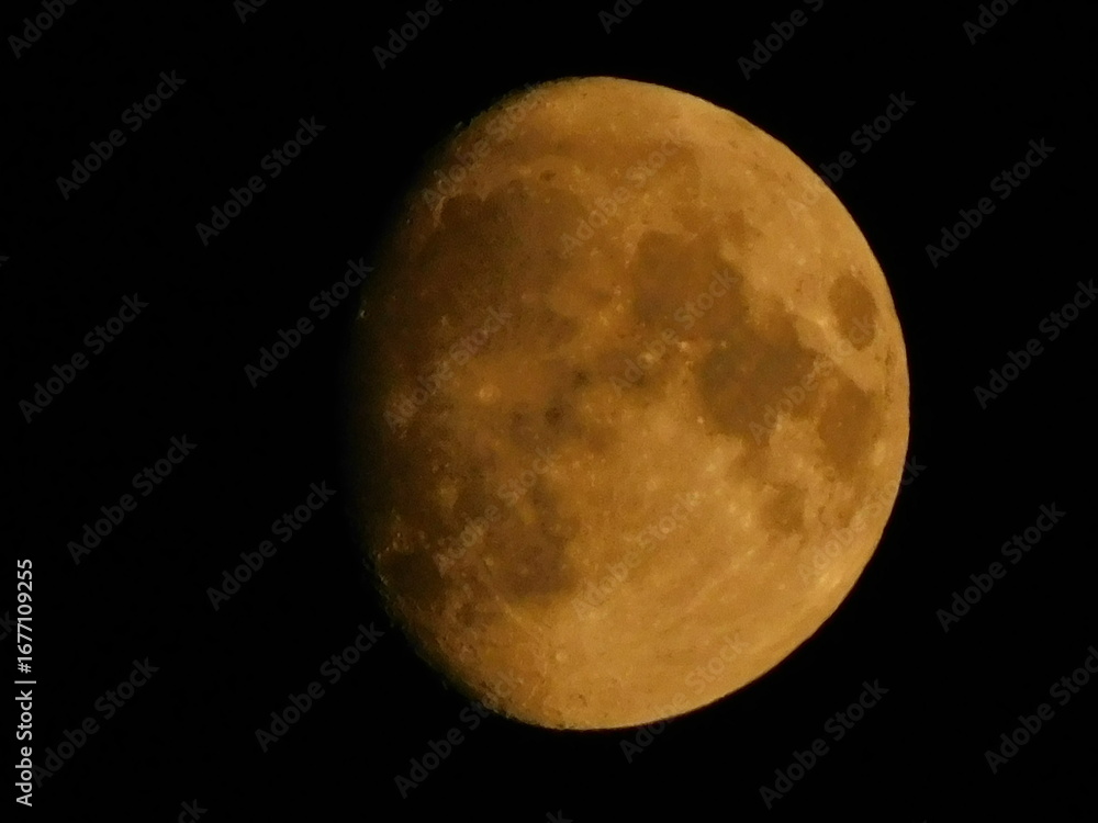 Fototapeta premium moon