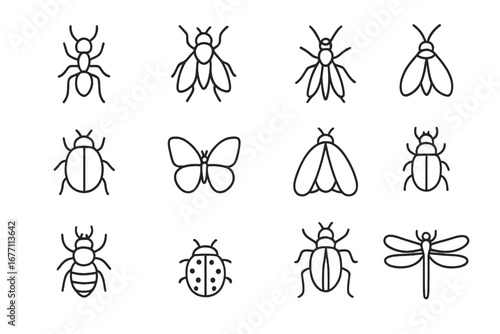 Insect icon collection. Bug outline sign set. Linear entomology symbols. Vector line illustration of ant, fly, mosquito, moth, beetle, butterfly, ladybug, bee, dragonfly.