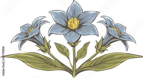 Delicate blue flowers with yellow centers and green leaves yellow stamens floral illustration