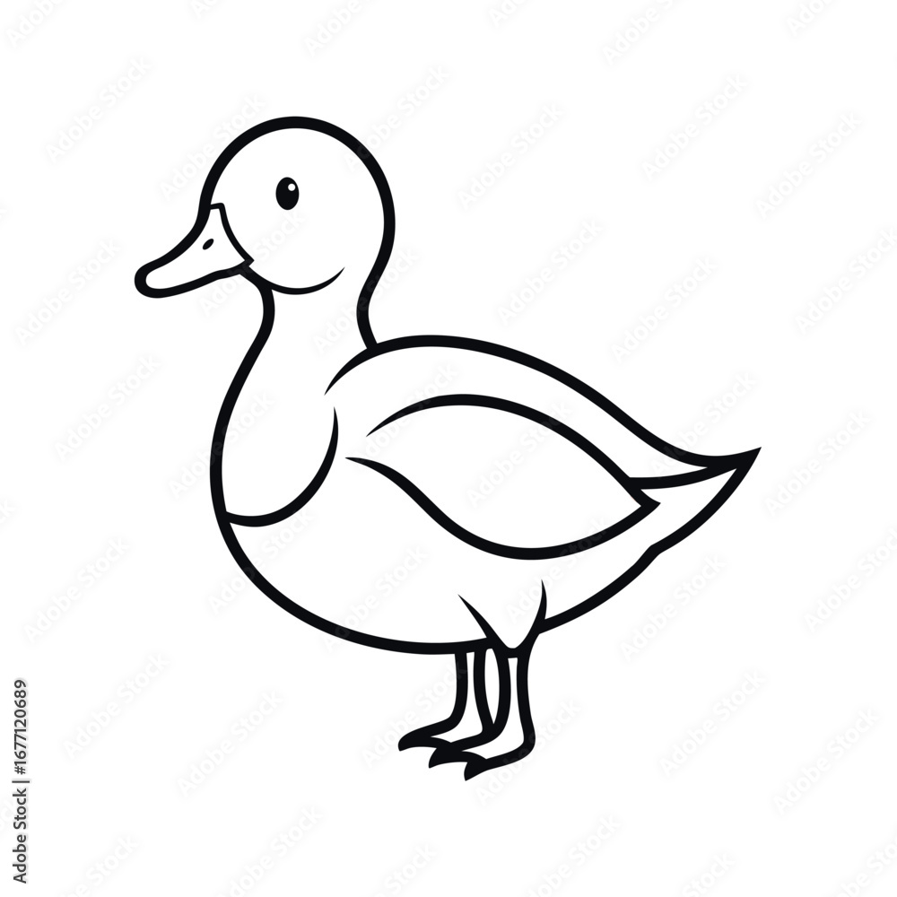 Ringed Teal Outline Bird Vector on White Background Ringed Teal Outline Bird Vector on White Background