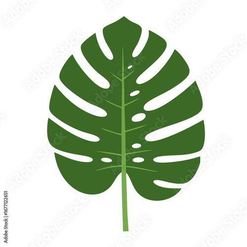 A vibrant green Monstera leaf illustration, showcasing exotic tropical foliage with a modern flat design style for botanical decor