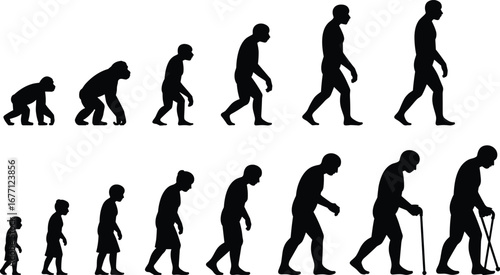Evolution of man from ape to modern human and aging process, black and white silhouette illustration, human development timeline concept